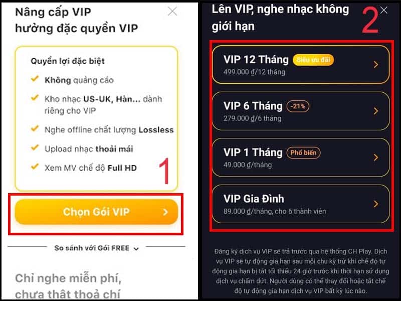 Chọn gói vip