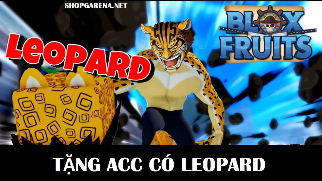 ACC Co Leopard
