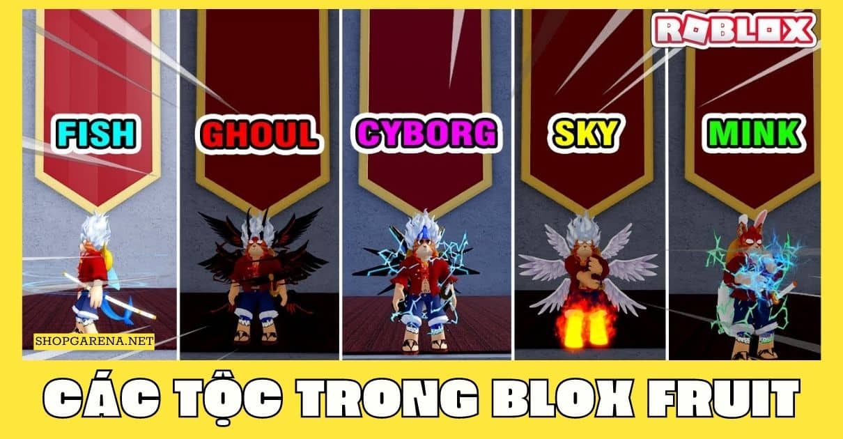 Cac Toc Trong Blox Fruit