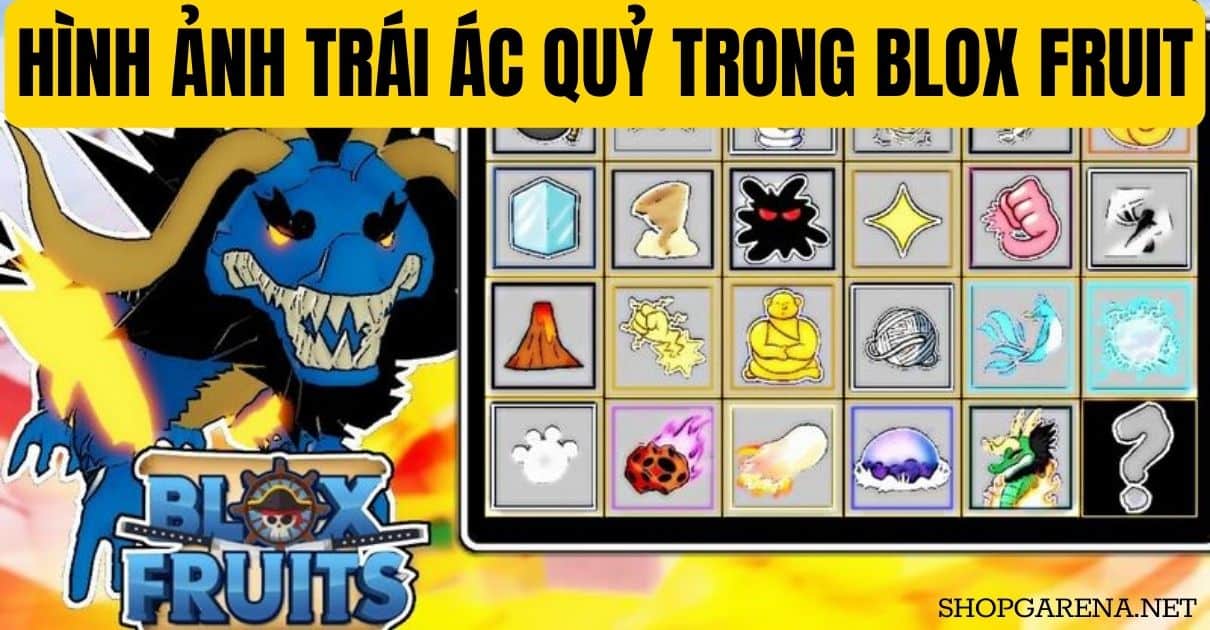 Hinh Anh Trai Ac Quy Trong Blox Fruit