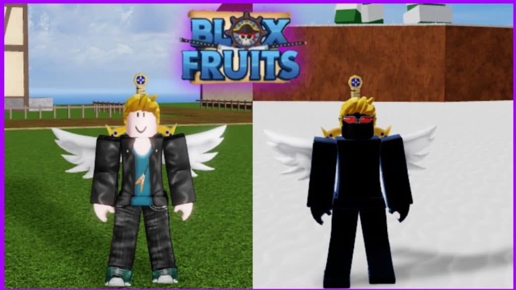 Hình ảnh Haki Blox Fruit toàn thân