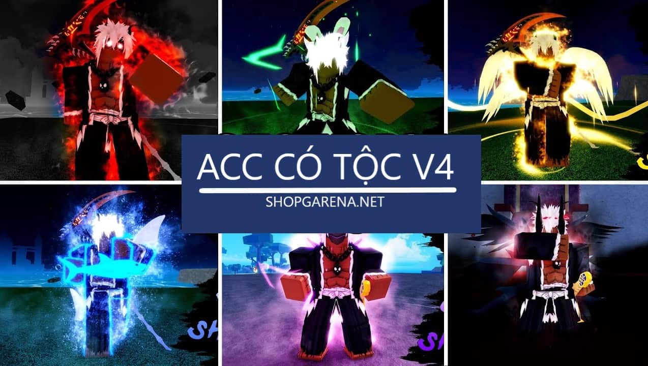 ACC Co Toc V4 Blox Fruit