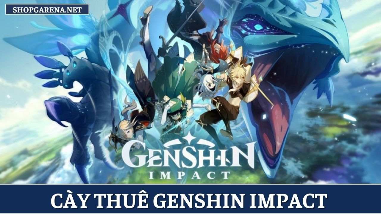 Cay Thue Genshin Impact