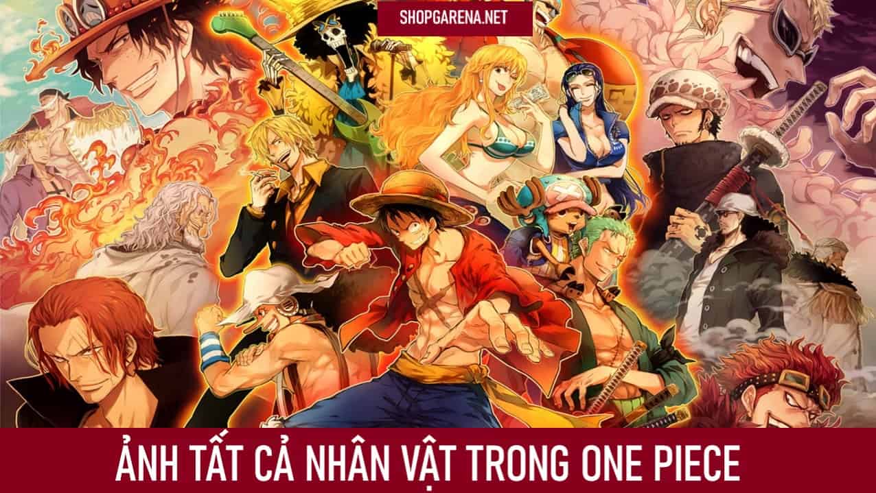 Anh Tat Ca Nhan Vat Trong One Piece