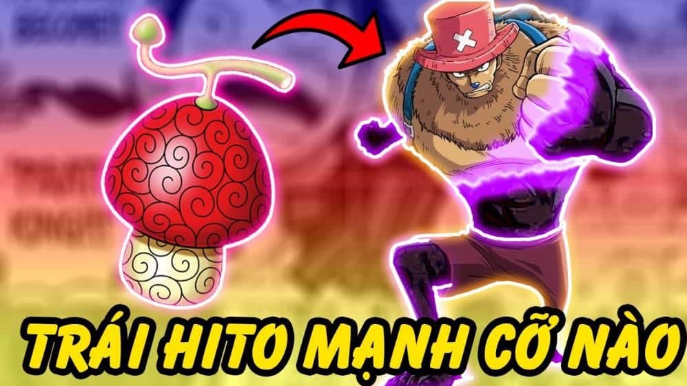 Ảnh Trái Ác Quỷ Của Chopper