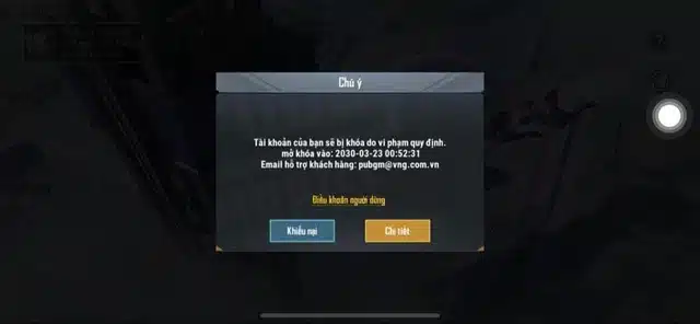 Hình Pubg bị ban 10 năm ấn tượng