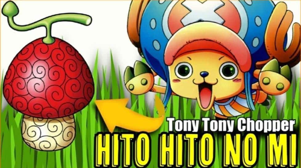Hình Trái Hito Hito no Mi