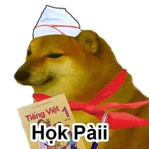 Hình ảnh Cheems Blox Fruit hài hước