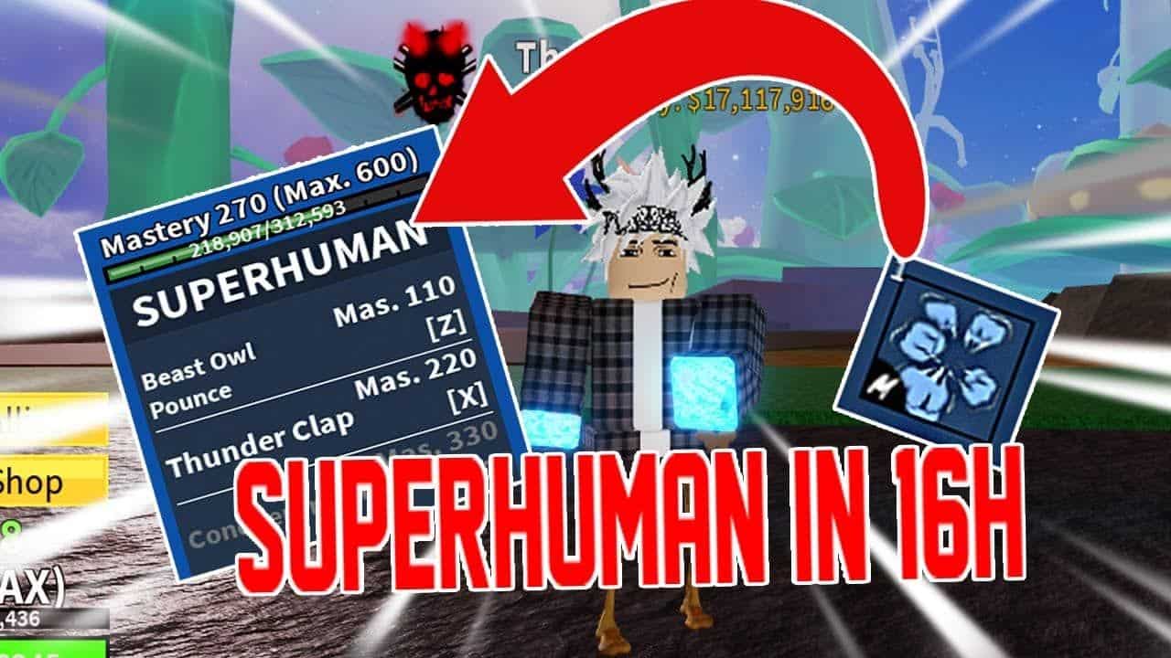 Hình ảnh Superhuman trong game Blox Fruit