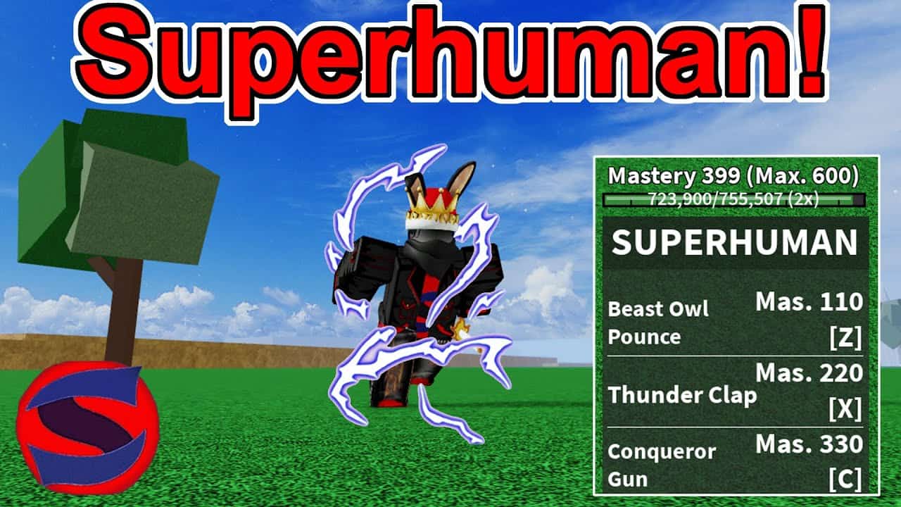Hình ảnh Superhuman trong game Blox Fruits