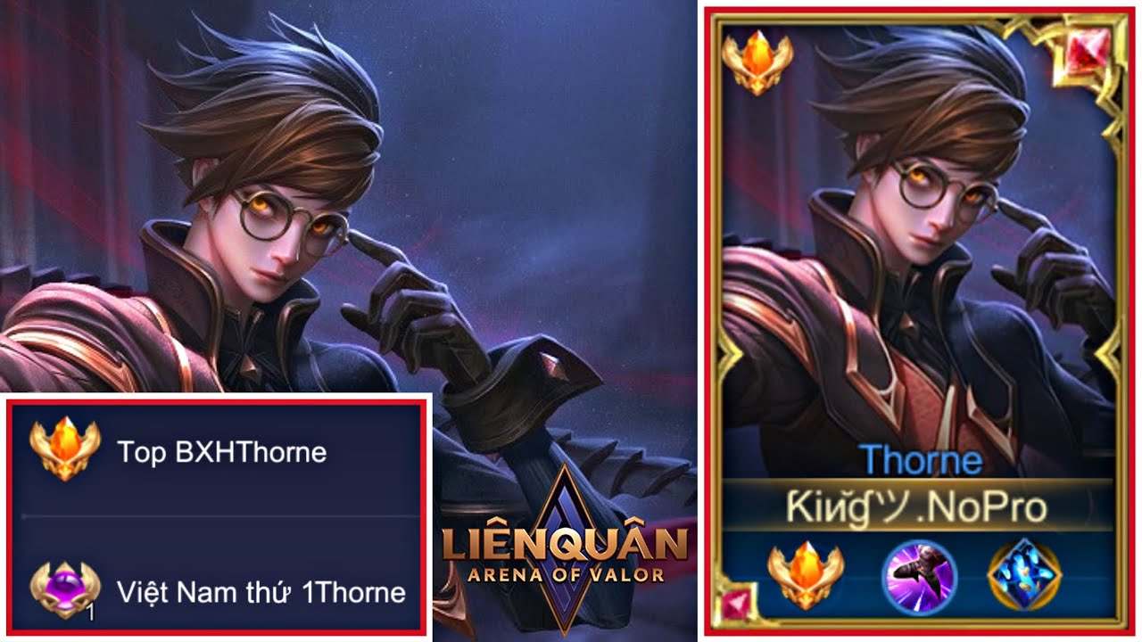 Hinh cuc vang top 1
