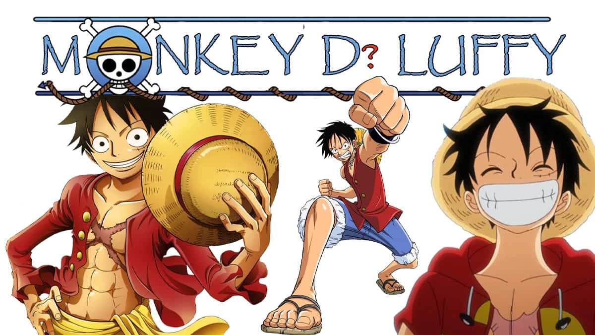 Thuyền trưởng Monkey D. Luffy
