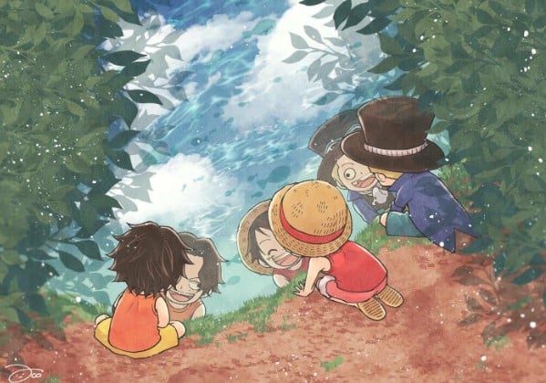 Ảnh 3 anh em Luffy
