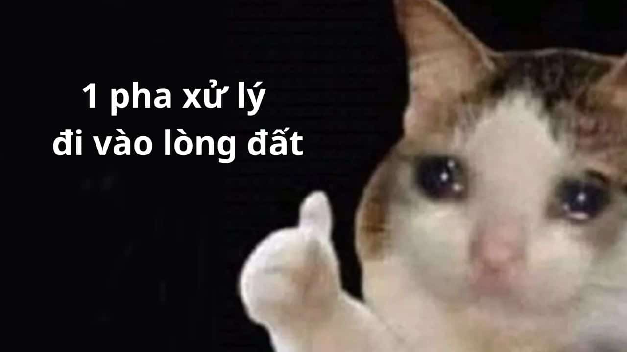 Ảnh Chế Con Mèo Khóc Like