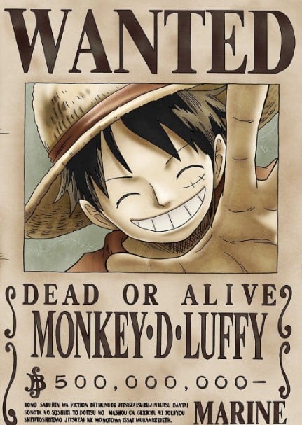 Anh Luffy Truy Na
