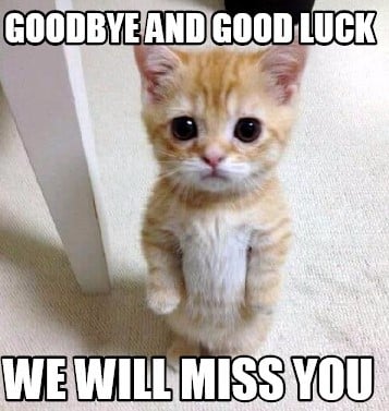 Ảnh Mèo Bye Cute