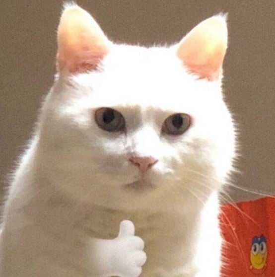 Ảnh Mèo Like