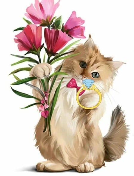 Ảnh Mèo Tặng Nhẫn Cực Đáng Yêu