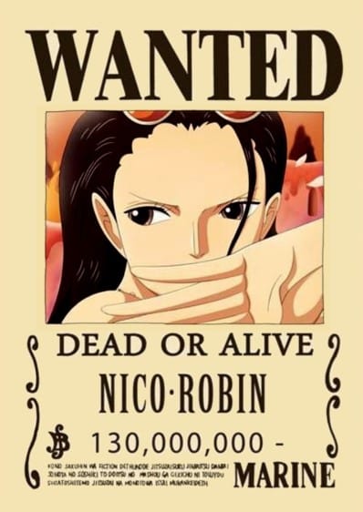 Ảnh Truy Nã Robin Đẹp