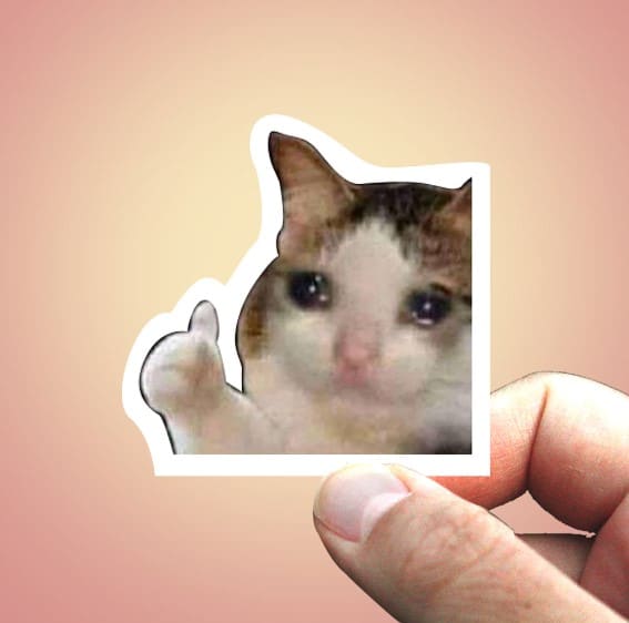 Ảnh chế Mèo Khóc Giơ Like Cute