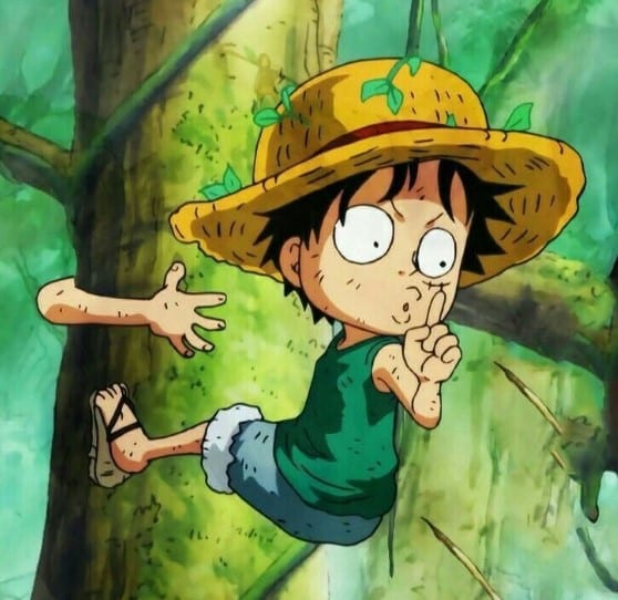 Avatar Luffy Hoi Nho
