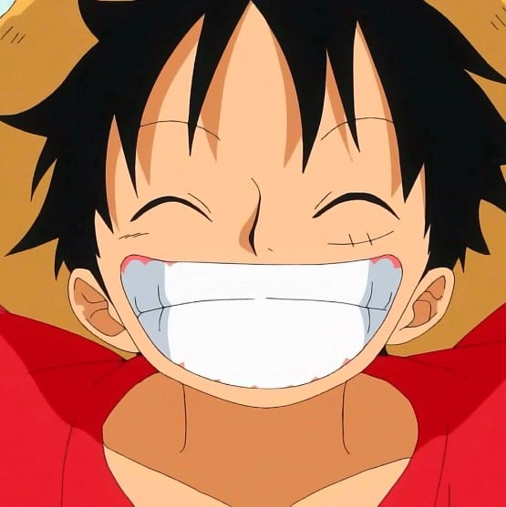 Avatar One Piece Hai