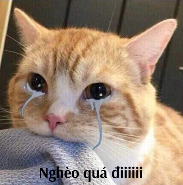 Bất lực vì nghèo quá đi
