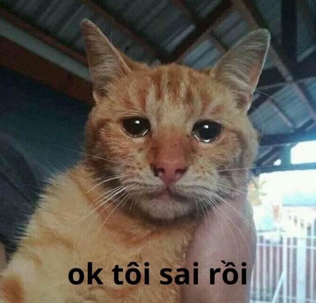 Che anh meo khoc ok