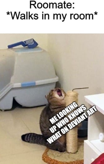 Con mèo ôm cột