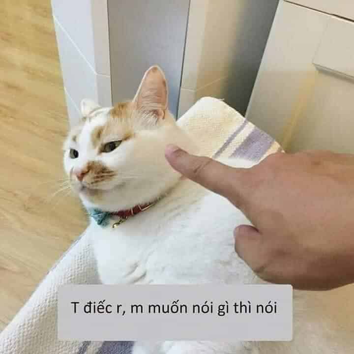 Điếc rồi