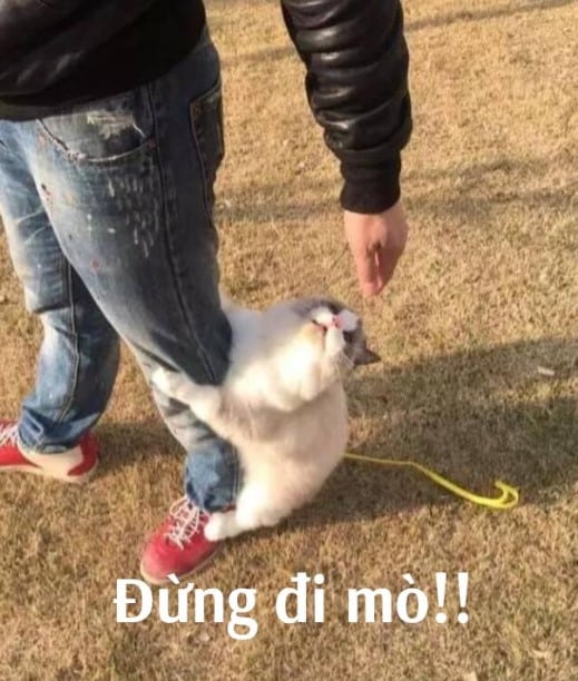 Đừng đi mà