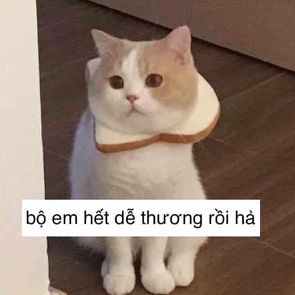 Em hết dễ thương rồi hở