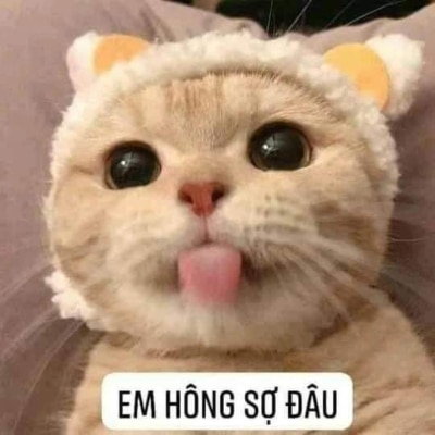 Em hông sợ