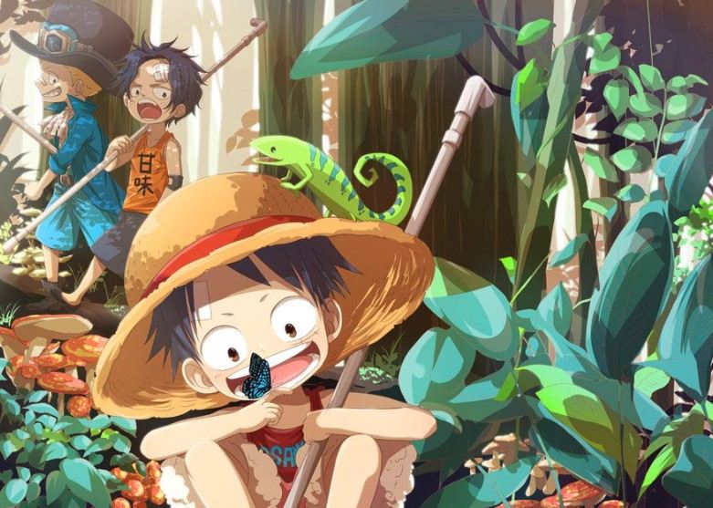 Hình Ảnh Luffy Lúc Nhỏ Cute