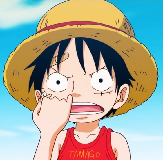 Hinh Avatar One Piece Vui