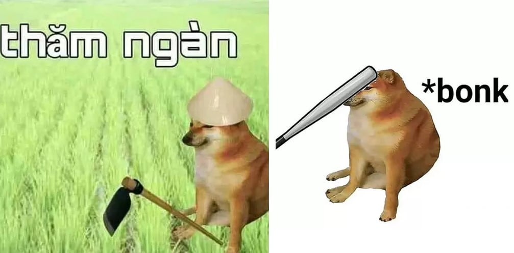 Hình Chế Meme Chó