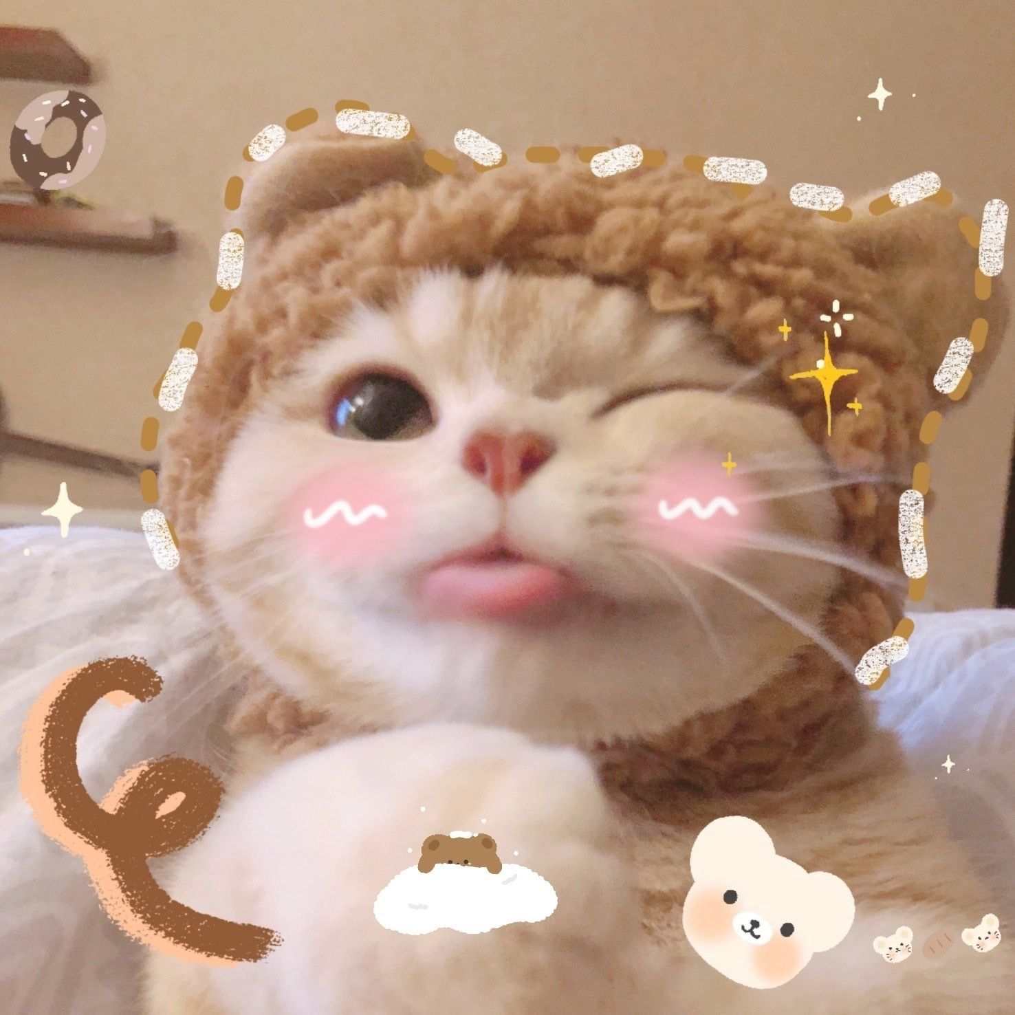 Hinh Meo Cute Meme
