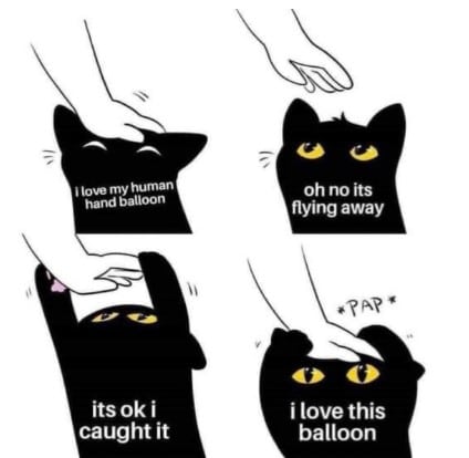 Hình Mèo Ôm Đầu Cute