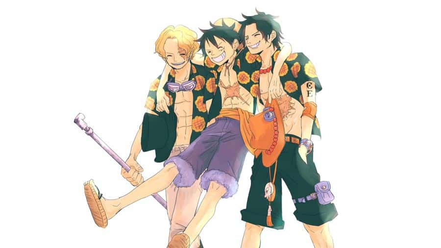 Hình One Piece 4K