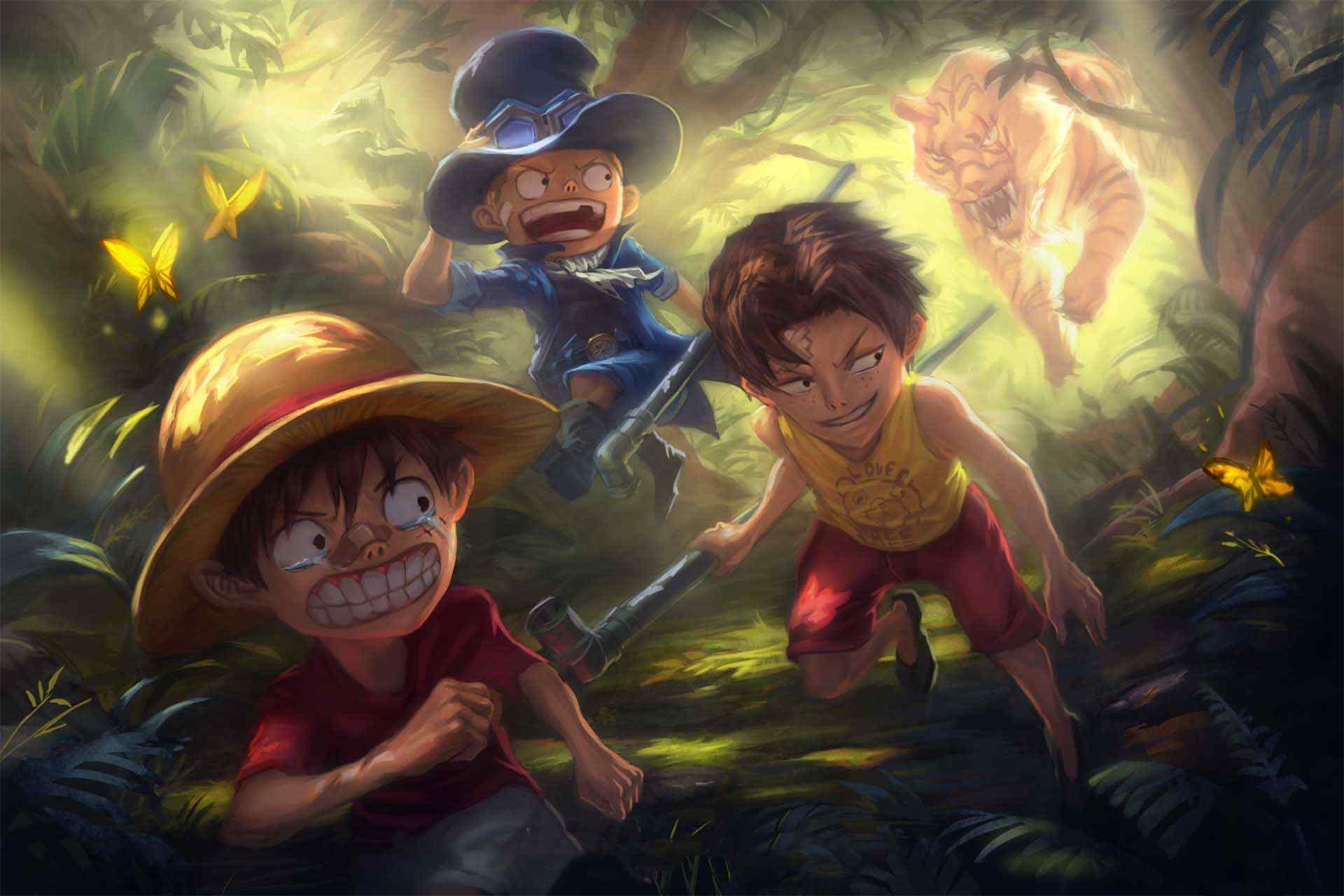 Hinh One Piece Sieu Cute