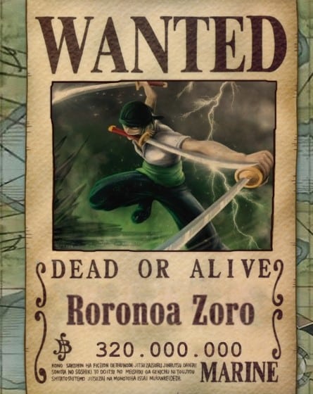 Hình Truy Nã Zoro Cực Chất