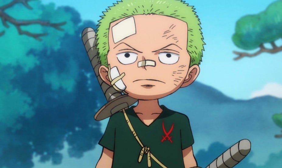 Hình Zoro Lúc Nhỏ