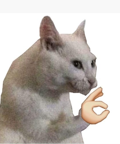 Hình chế mèo Ok Vui