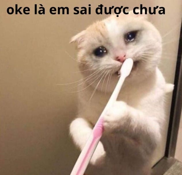Hinh che meo khoc Ok