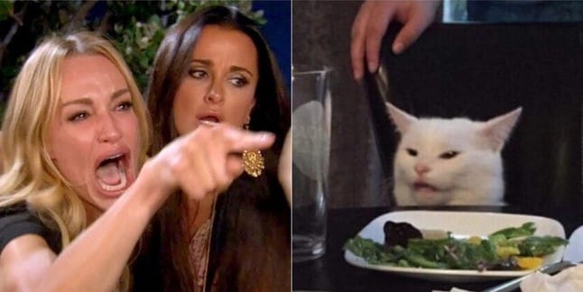 Hình chế về mèo bựa cute