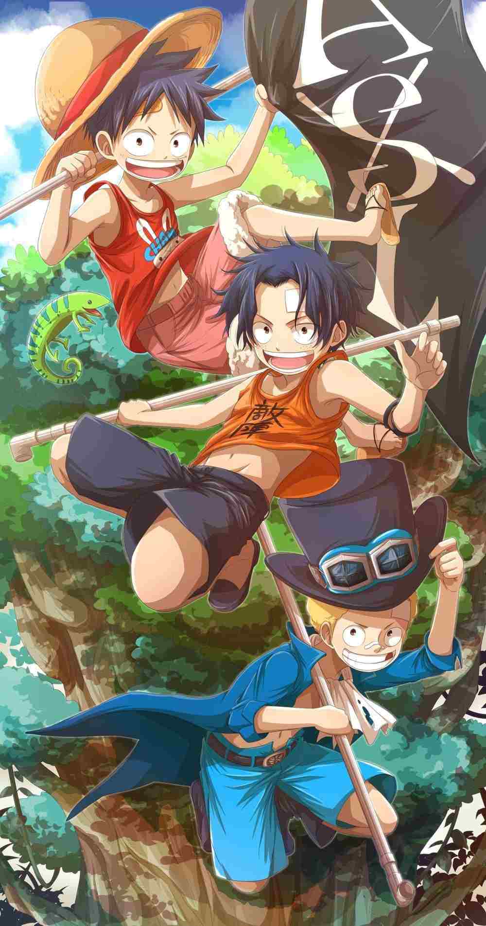 Hình về 3 anh em Luffy cute