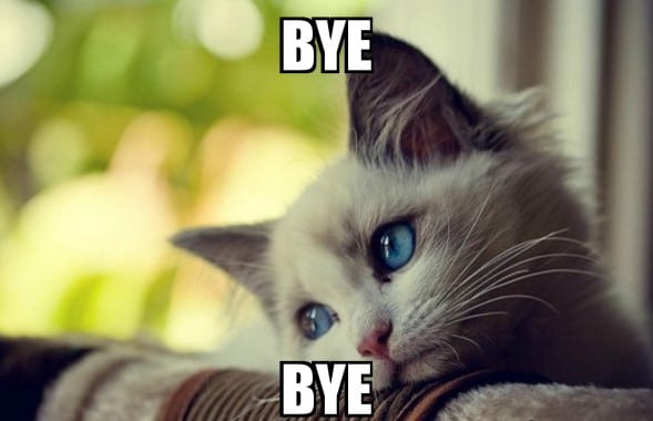 Meme Mèo Bye Cute