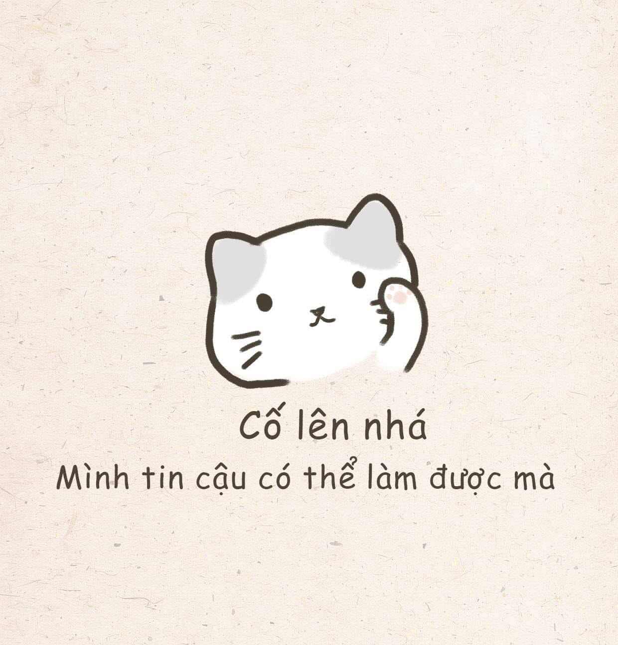 Meme Meo Co Len