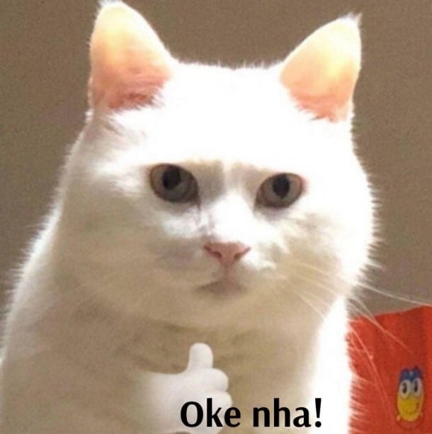 Meme Oke Nha