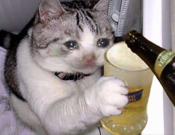 Meme Rot tiep di